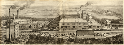 801183 Overzicht van de Koninklijke Zeepfabriek De Duif van Chr. Pleines aan de Dolderseweg te Den Dolder.